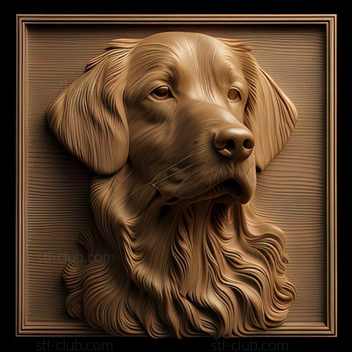 3D model st Straight   haired Retriever dog (STL)